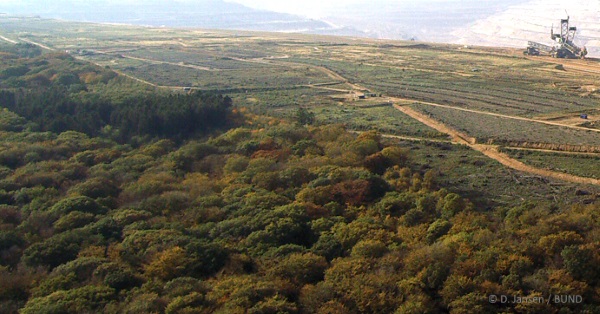 Braunkohle, Hambacher Forst