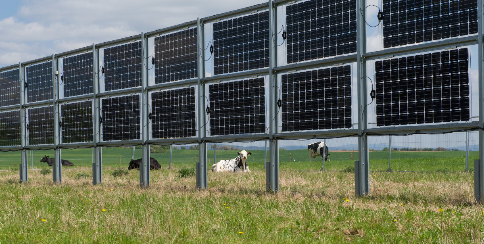 Landwirtschaft und solare Stromproduktion vereinen? Das innovative Next2Sun Gestellsystem machts möglich