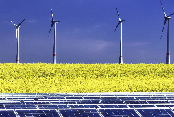 &copy; Adobe Stock / Fotolia