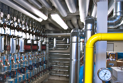 © Adobe Stock / Fotolia