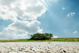 © Adobe Stock
