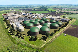 &copy; Weltec Biopower