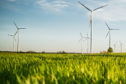© Qualitas Energy