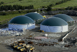 © Weltec / Evergreen