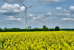 © IWR / Schlusemann