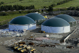 © Weltec Biopower